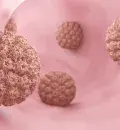 HPV