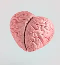 cérebro_onde mora o amor