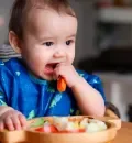 introducao alimentar