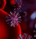 Coronavírus: o que se sabe sobre este vírus