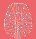Esclerose Múltipla: mitos e factos