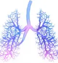 Espirometria: o que é e como é realizada