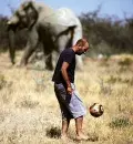 Em Etosha, na Namíbia, Tiago Carrasco joga futebol a cerca de 100 metros de um elefante 