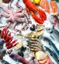 Pescado: como escolher
