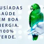 Lusíadas Saúde vai consumir eletricidade 100% proveniente de fontes renováveis