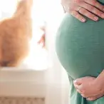 Toxoplasmose na gravidez: sintomas