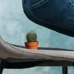 Hemorroidas