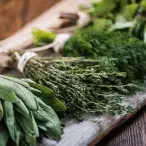 Aromaticas nutriçao