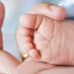 neonatologia
