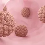 HPV