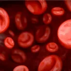 eritrocitos analises sangue