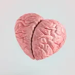 cérebro_onde mora o amor