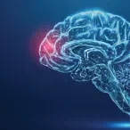 destaque neurologia_monsanto