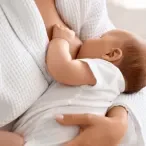 mastite