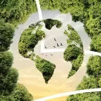 Lusíadas Saúde, Allianz, Médis e Multicare unem-se para reduzir impacto ambiental da anestesia em Portugal 