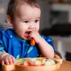 introducao alimentar