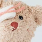 LP_Hospital Primeiros Passos HLPF