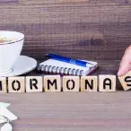 As hormonas desempenham várias funções essenciais para o bom funcionamento do organismo.