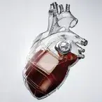 Medicina do futuro na Lusíadas