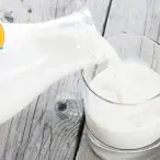 No caso de intolerância,  o leite de vaca pode ser substituído por leite com baixo teor em lactose ou por leite sem lactose.