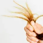 Se arrancar um cabelo branco nascem outros sete?