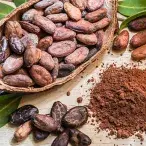 Conheça as vantagens nutricionais do cacau