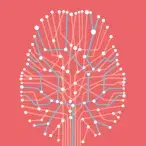 Esclerose Múltipla: mitos e factos