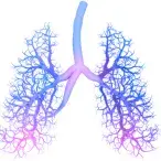 Espirometria: o que é e como é realizada