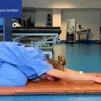 Exercícios para maiores de 65 anos