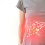 Fígado gordo: o que é a esteatose hepática?