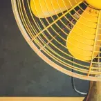 Insolação: o que é e como prevenir