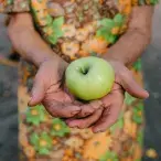Nutrição em geriatria: qual a sua importância