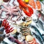 Pescado: como escolher