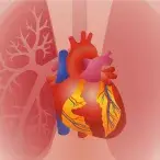 Prova de esforço cardiopulmonar: o que é?